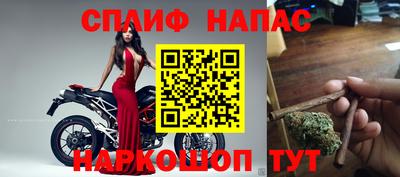 прущие грибы Обь